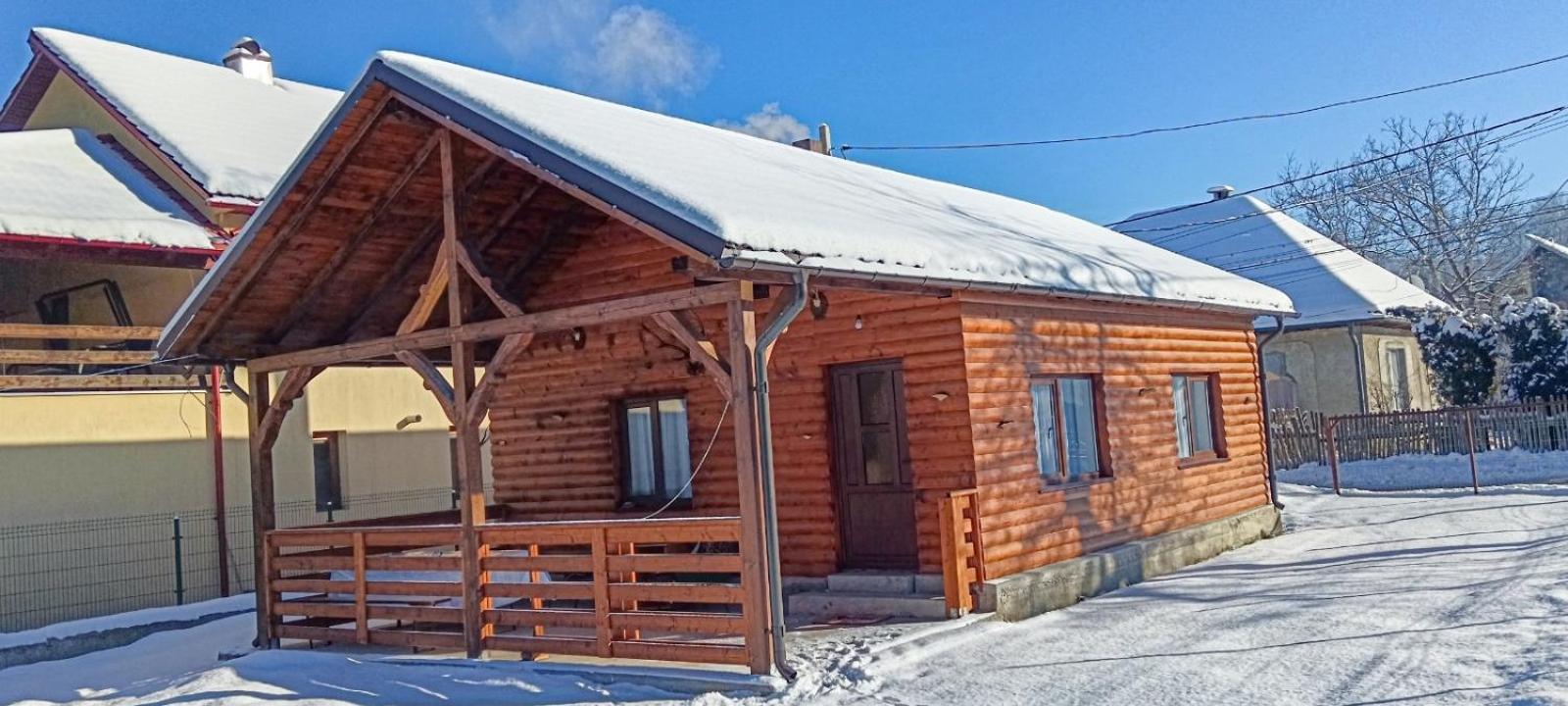 Вилла Casuta Adelina Borsa Экстерьер фото